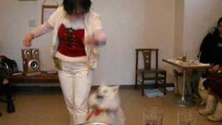 Dance with dog at Christmas party