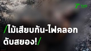 ลุงหาของป่าตายสยองไม้เสียบก้น-ไฟคลอกดับ | 03-02-64 | ข่าวเที่ยงไทยรัฐ