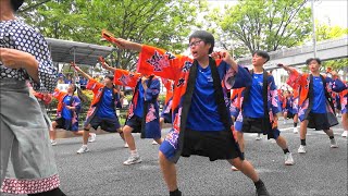 東京都 原宿よさこい連と渋谷区立原宿外苑中学校・表参道アヴェニュー2024年8月25日。