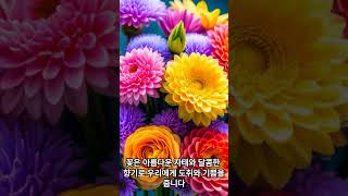 한형동 TV의 천하의 명언