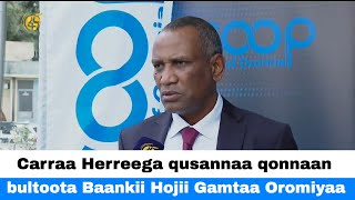 Carraa Herreega qusannaa qonnaan bultoota Baankii Hojii Gamtaa Oromiyaa