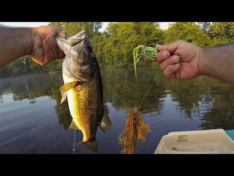 POND BASS FISHING (MIDWEST ROAD TRIP) TOPWATER FROG! POND BASS FISHING (MIDWEST ROAD TRIP) TOPWATER FROG!