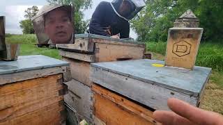 Beekeeping Canada 2023 day 67