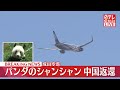 【速報】シャンシャン載せた飛行機が離陸…中国へ 成田空港