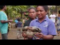 Women Guardians of the Mangroves