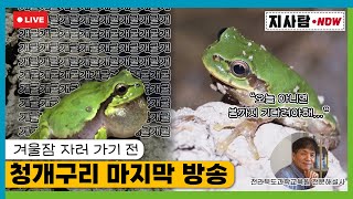 그 많던 청개구리는 모두 어디로 갔을까???? 전라북도과학교육원 전문 해설사와 함께 보는 청개구리의 모든 것! 🐸