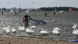 Mens en Zwaan, Telstar Surfclub Beach Ermelo Strand Horst zo. 16 Juli 2023