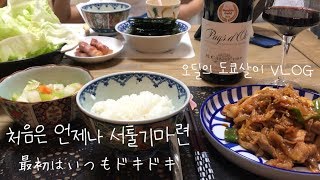 도쿄 주부 일상 VLOG :: 韓国人主婦の東京暮らし。소학교 입학. 롤러스케이트. 첫 등교. 小学校入学。ローラースケート。