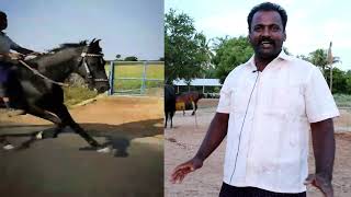 GK SURESH ANNAN ON SCREEN.OWNER OF GK STUD FARM,KOTHAPALAYAM