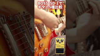 BOSS SD-1でギター5種比較🎸#ストラトキャスター #レスポール #ジャズマスター #sg #テレキャスター #seabird #shorts