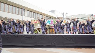 [4K] かんしゃら　堺よさこいかえる祭り 2019