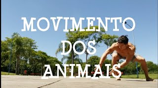 Movimento dos animais