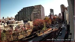 Fresh Morning in Tokyo Shinjuku 東京都新宿区西早稲田ライブカメラ。Tokyo Shinjuku　Waseda Live camera. World cam.