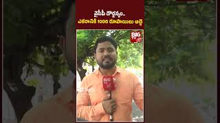 వైసీపీ దౌర్జన్యం.. ఎకరానికి 1000 రూపాయిలు అద్దె | Only 1000 Rupess For 1 acre | YSRCP Office | BIGTV