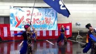 益田蟠竜踊り隊 みなまたYOSAKOI祭り