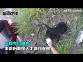 踹下機車！黑狗遭女騎士丟包路邊嚇傻　棄養下場將罰11萬｜三立新聞網setn.com