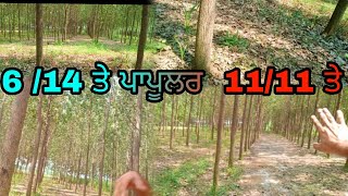 6 /14 ਤੇ ਪਾਪੂਲਰ🌳ਜ਼ਿਆਦਾ ਕਾਮਯਾਬ ਜਾ 11/11 ਤੇ..?@Heera8553 @MalkeetBai