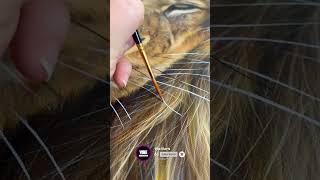 Hyper realistic Lion 🎨🖌️ | Realistic Lion Painting 🦁 #viral #trending #reels #shortvideo