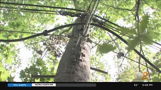 Demanding Answers: Homeowners In Roslyn In Tree Fight With PSEG Long Island Over High Voltage Wires