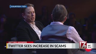 Twitter Sees Increase In Scams