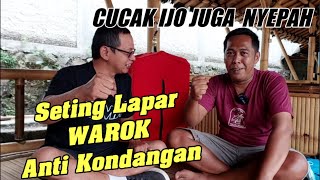 🔴 IJO RUMAHAN JADI JUARA GANTANGAN‼️ Setingan Sederhana Cucak Ijo Juara Lomba Bang Malik Ujung Aspal