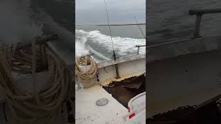 conociendo las playas de sur calorina un paisaje hermoso ven y conoce la maravilla de la vida