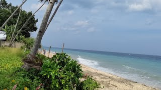 Clean Titled Beachlot / Beach land in Cebu South for sale