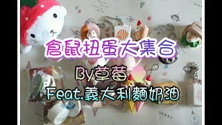 【草莓🍓】倉鼠扭蛋大集合💜Feat 義大利麵奶油