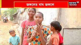 ছয় দিনের প্রচেষ্টায় অভিযানে সাফল্য, Kultali-র বাঘ ধরার প্রচেষ্টার প্রসংশা মুখ্যমন্ত্রী Mamata-র