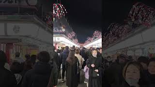 Asakusa Japan z #japantouristguide #japanesetouristattraction #japantravelguide #AsakusaJapan