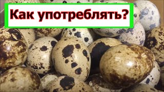 Сырые перепелиные яйца как употреблять. Перепелиные яйца польза и вред.