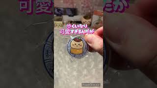 ちいかわ寿司　アクスタ　ガチャ　開封　#shorts #ちいかわ #ちい活 #開封動画  #開封してみた #くりまんじゅう先輩を探して