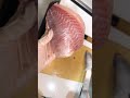 イシダイ捌きをシェア！新鮮な刺身のプロセスを覗いてみてください🔪🐟✨ イシダイ 捌き方 魚捌き