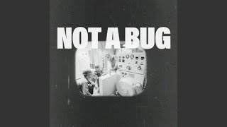 Not A Bug