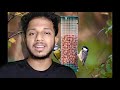 birds_food_tips lock_down പക്ഷികൾക്ക് തീറ്റ ചെലവ് കുറക്കാൻ ഒരു അടിപൊളി tip.