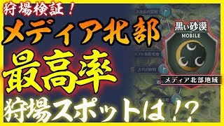 【黒い砂漠Mobile】新地域「メディア北部」狩場検証！―普段使い・睡眠時に最適な狩場とは！？