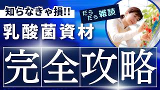 関西の苺農家さんに今流行ってます！良いこと尽くしの乳酸菌　イチゴ栽培で使うべき理由