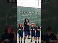 dingo bell humor funnymemes escola humormemes shots comedia natal