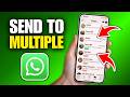 How to Send Message to Multiple Contacts in WhatsApp