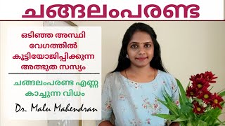 #Changalamparanda | Dr. Malu Mahendran | ചങ്ങലംപരണ്ട |  Changalamparanda Oil | Bone Setter Malayalam