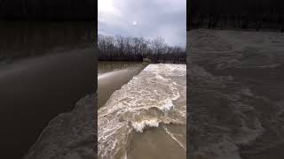 Low head dam at river flood stage #shorts #river #dam #flood