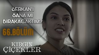 Kırgın Çiçekler 66. Bölüm - Cemre ile Eylül birbirine giriyor!