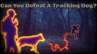 The Truth About K9 Tracking Teams and How to Avoid Them