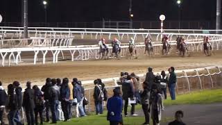 【ホッカイドウ競馬】門別グランシャリオジョッキーズ　第１戦【現地映像】