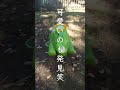 閲覧注意「オジサンが滑り台を滑る」東京都八王子市石川町 公園 散歩 shorts