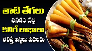 తాటి తేగలు తినడం వల్ల కలిగే ఆరోగ్య లాభాలు | Thati Tegalu Health Benefits | #meetvhealth