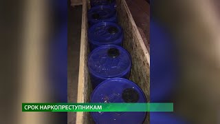 Нарколабораторию организовали иностранцы в Алматинской области