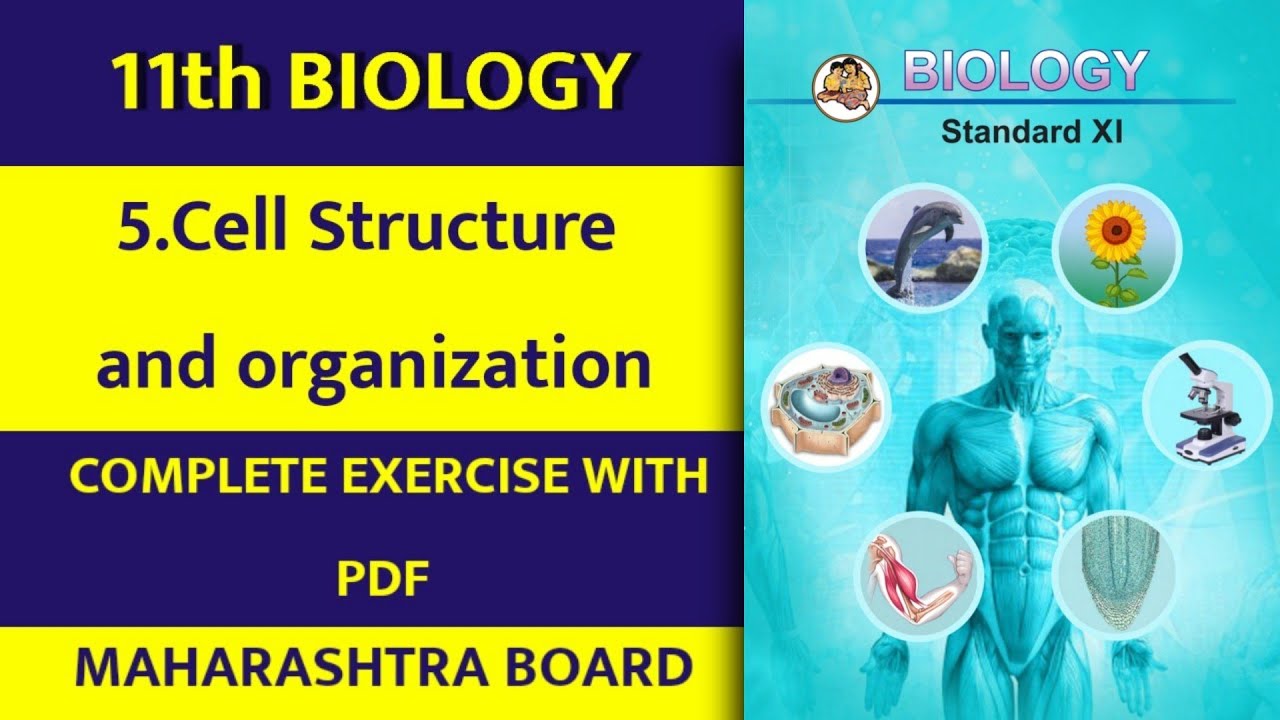 11th Biology Ch 5.Cell Structure And Organization Complete Exercise ...