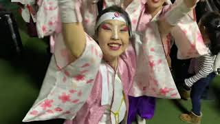 総踊り ふくこいアジア祭り2日目 2019.11.17(日)