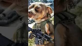 Bravo 6 going bark! #fun #funny #meme #memes #viral